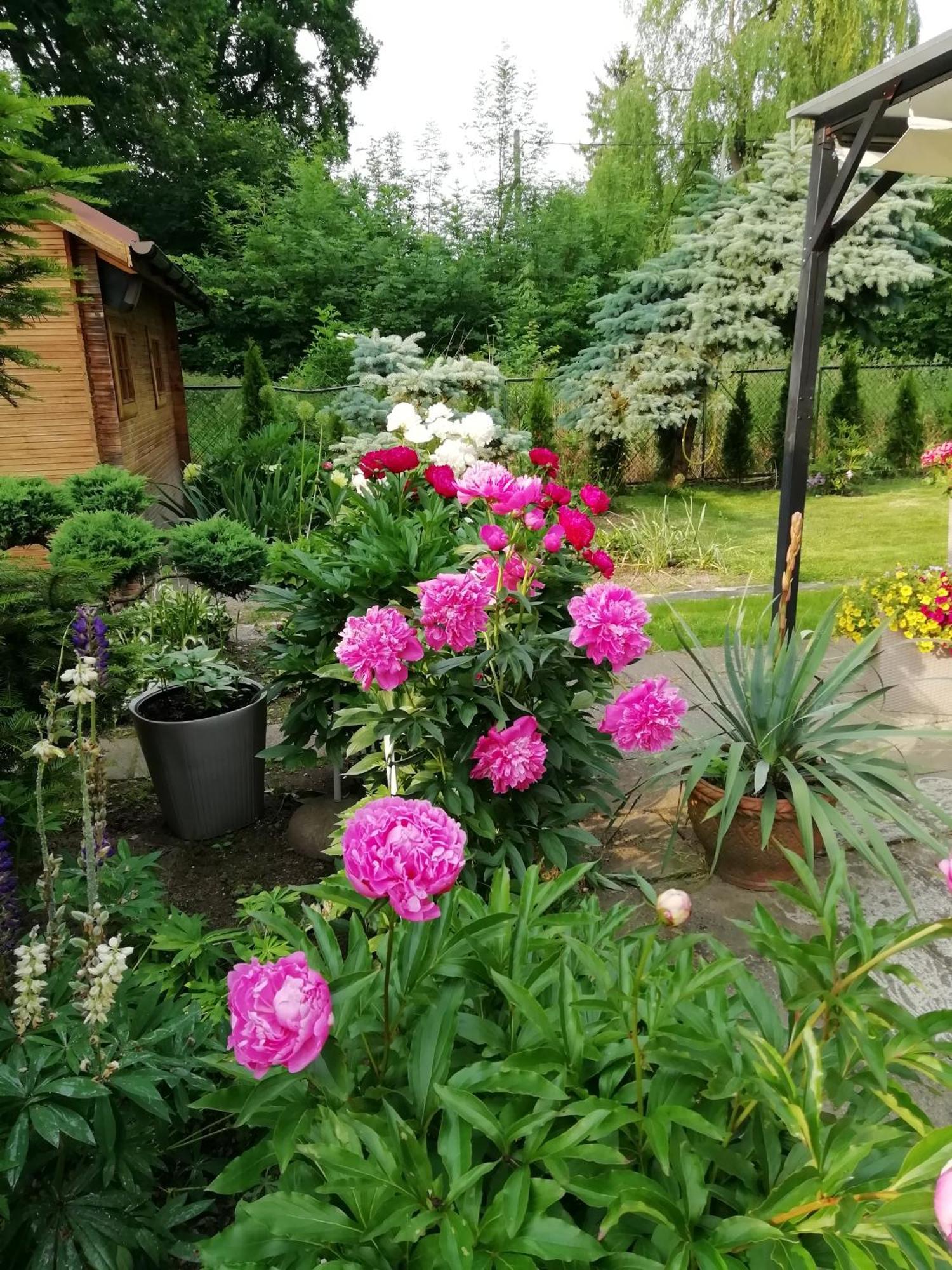 Apartament Wlodek Jelenia Góra Exteriör bild