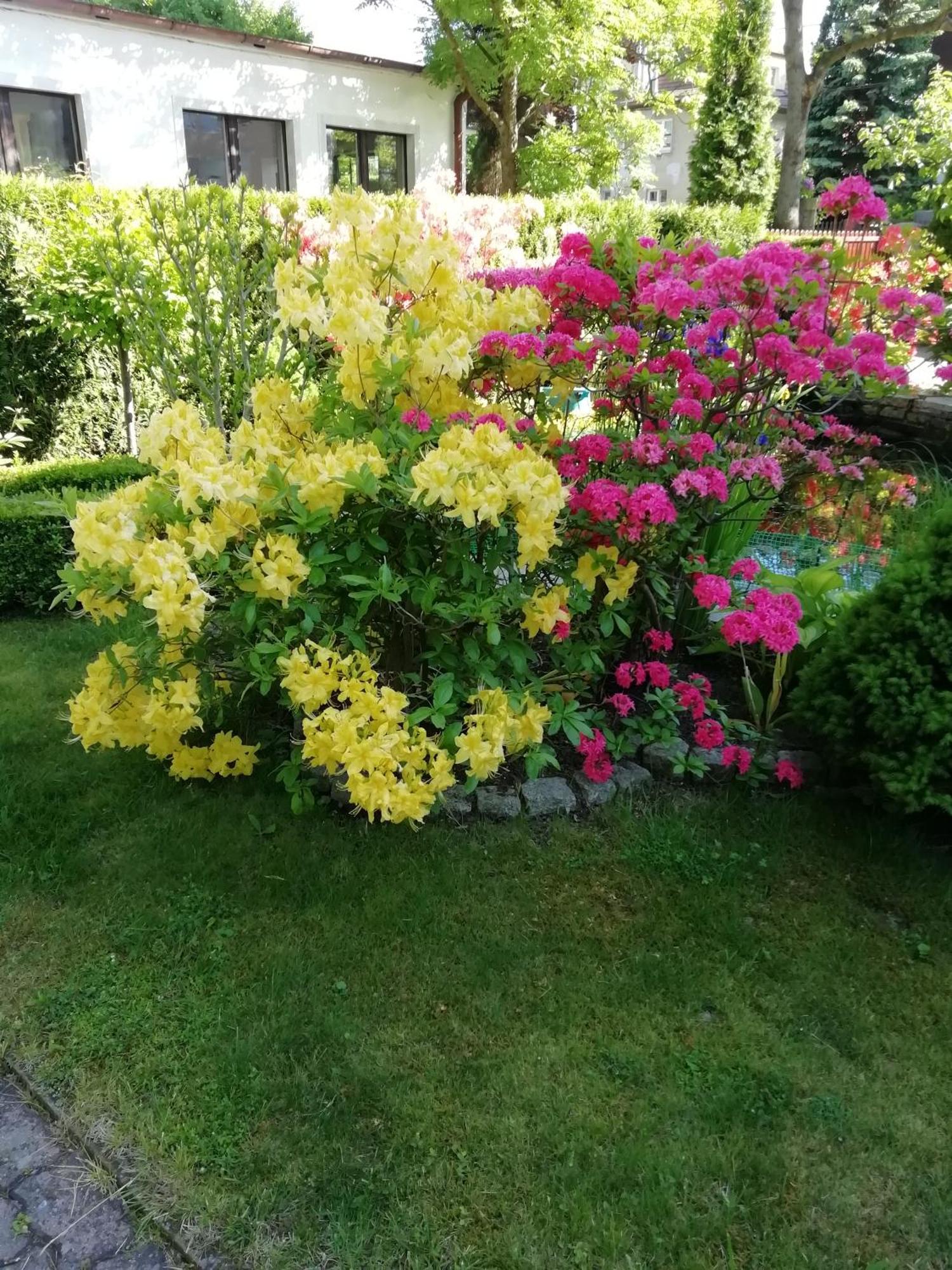 Apartament Wlodek Jelenia Góra Exteriör bild