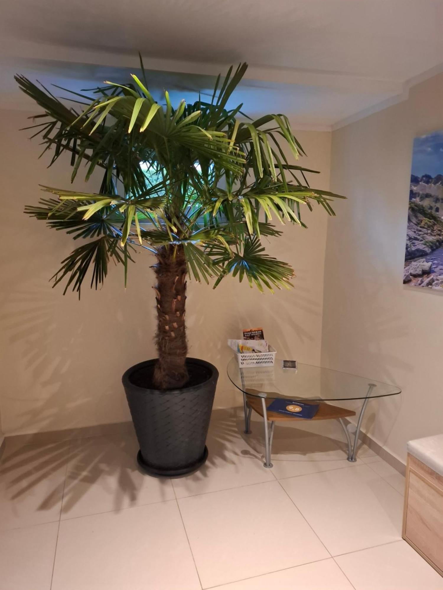 Apartament Wlodek Jelenia Góra Exteriör bild